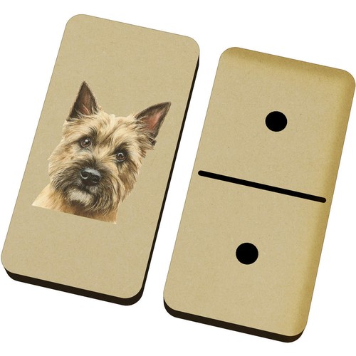 Cairn terrier portrait - terrier, portrait'