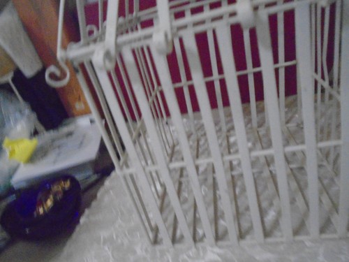 White metal bird cage with