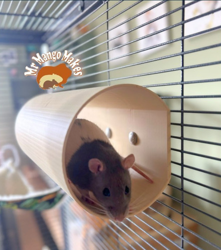Rat tunnel mice - rat,