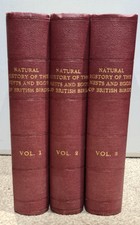 A Natural History Of The Nests