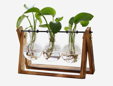 XXXFLOWER Plant Terrarium with