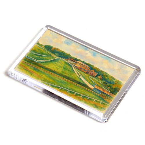 Fridge magnet the - fridge,