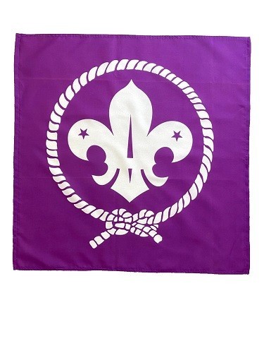 Handmade scouts purple flag - handmade,