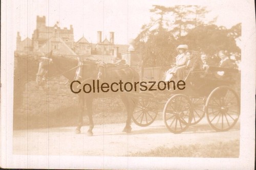 Family horse and - and, carriage