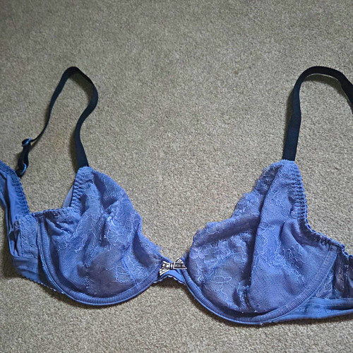 Blue floral lace - floral,
