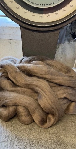 Brown merino 100s - brown,