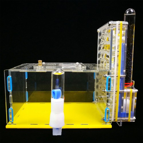 Acrylic ant farm - ant,