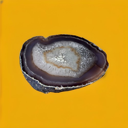 Large thick gray - gray, tan