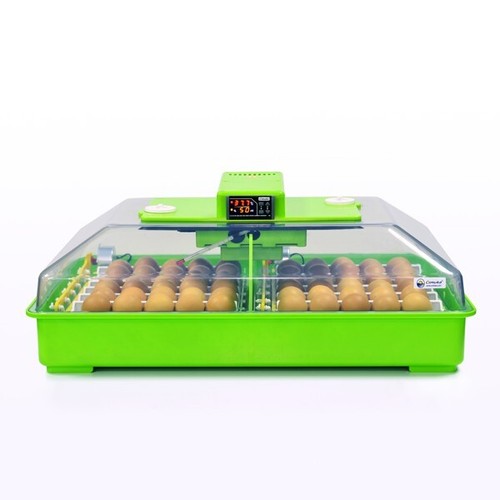 Egg incubator pd60 - incubator,