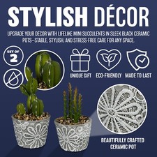 2 X ARTIFICIAL CACTUS PLANTS