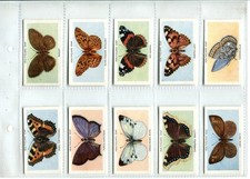 British Butterflies 1955 Lifeguard Trade Cards - Full Set of 25 Cards
