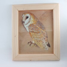 Vintage barn owl bird - vintage,