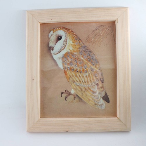 Vintage barn owl - bird, c