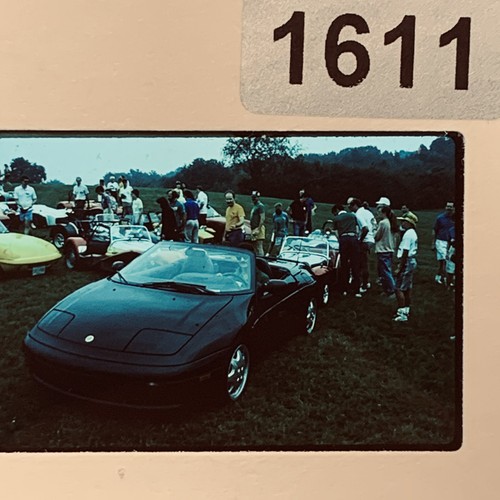 Vintage 35mm slide lotus - vintage,