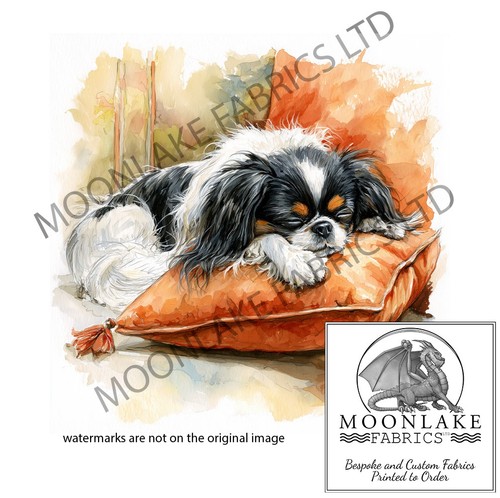 Japanese chin dog - japanese,