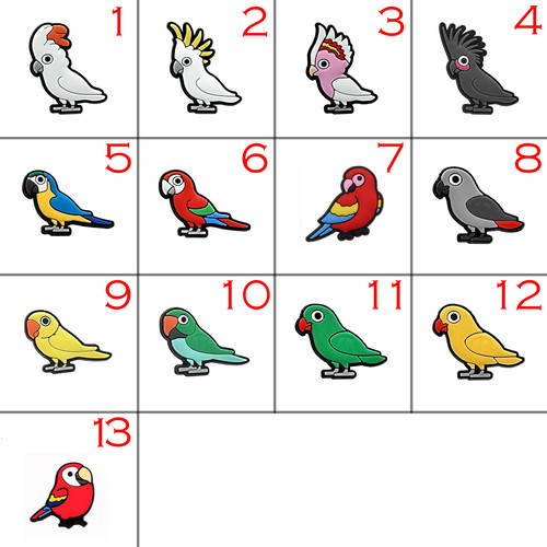 Parrot and cockatoo - and,