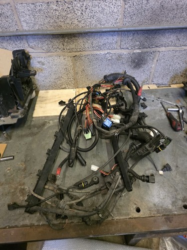 2003 bmw e46 325i - 325i, oem