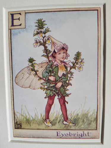 Vintage flower fairies print - fairies, &
