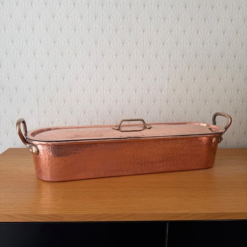 French copper fish - french,