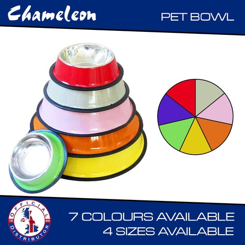 Pet dog food - dog, water