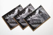 3 x Hairy Lurcher greeting