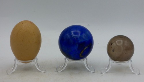 Clear perspex egg - egg, display