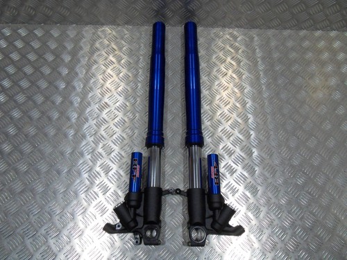 Genuine suzuki gsxr 1000 showa - genuine,