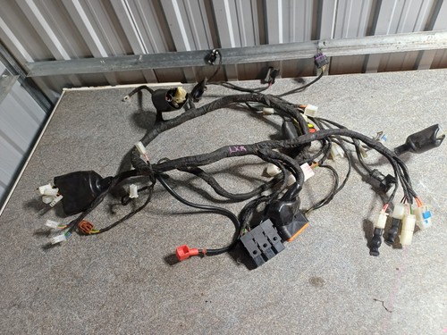 Lexmoto lxr125 wiring loom - lxr125,