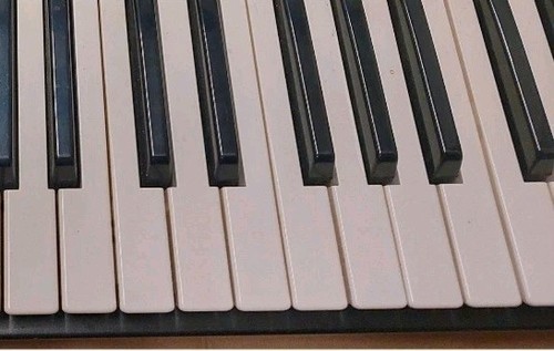 Keys springs from korg - &,