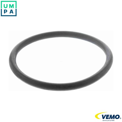 Gasket intake manifold - gasket,