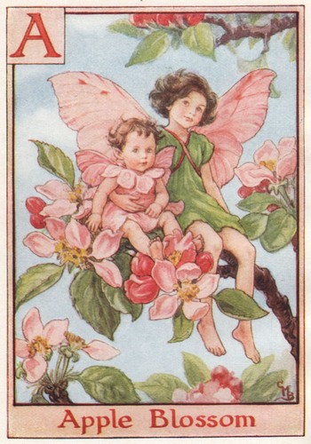 Apple blossom fairy by - a, =