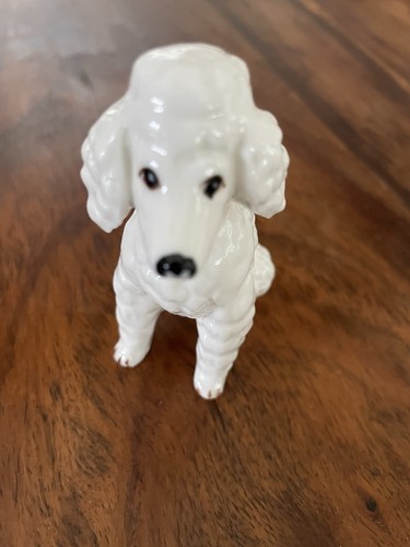 Vintage white poodle dog - poodle,