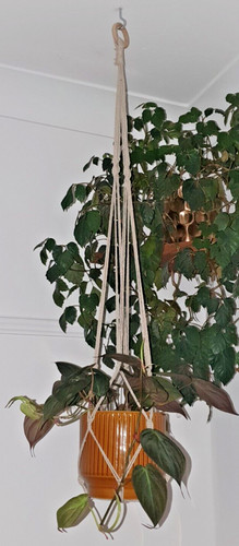 Hand made macrame - made, plant