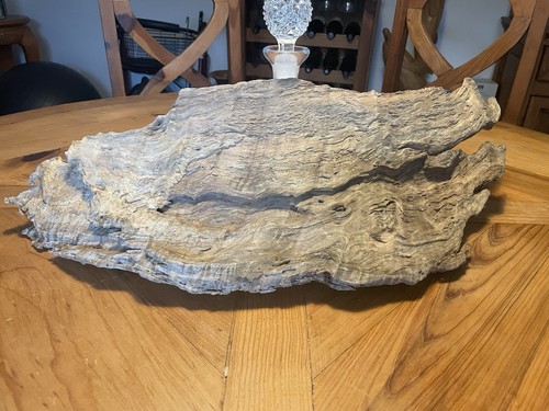 Xxl driftwood - xxl,