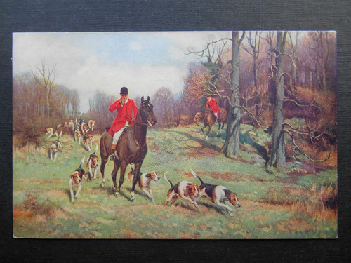 Sanderson wells fox - x,