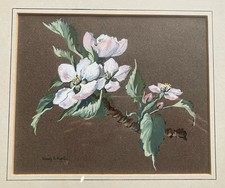 Vintage Botanical Gouache