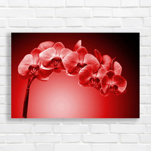 Stunning orchid bouquet - stunning,