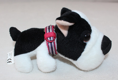 French bulldog the - bulldog,
