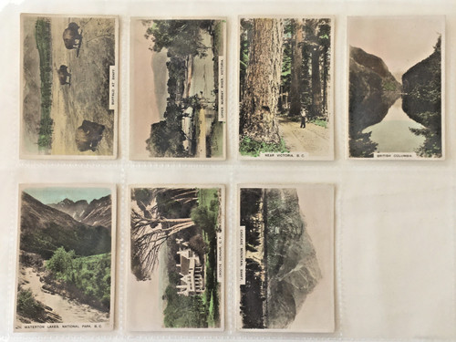 Cavanders cigarette cards the - cards, 'the