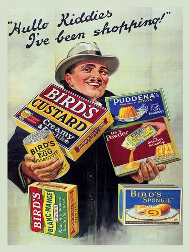 Bird custard retro metal - custard,,