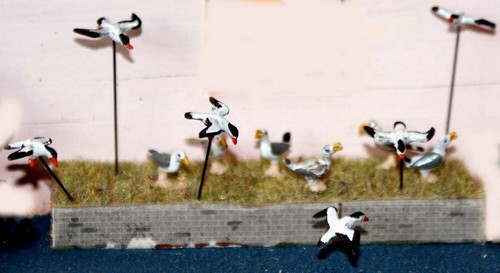 Seagulls f143 unpainted - unpainted, oo