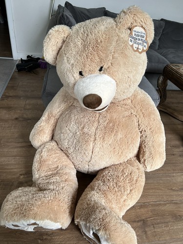 Giant soft teddy - giant,