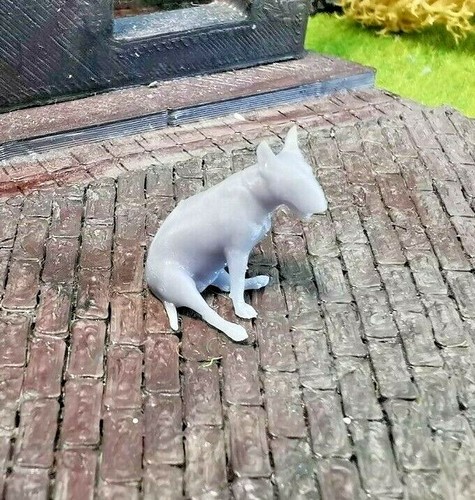 Pitbull bull terrier - bull, dog