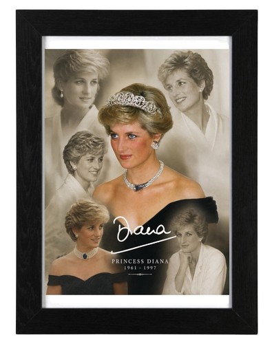 Princess diana signed - princess,