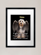 Angel dogs - Tibetan Terrier
