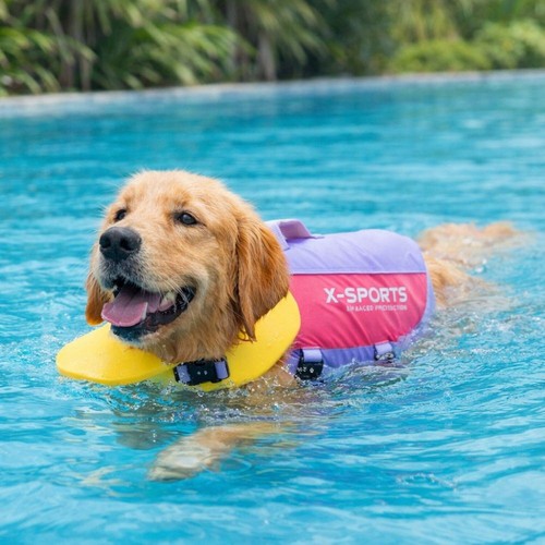 Hot high flotation - flotation, dog