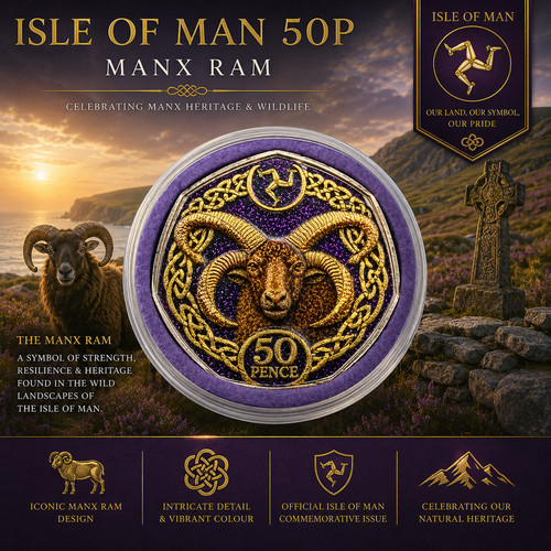 Isle man manx loaghtan - man, ram
