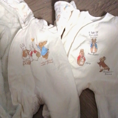 Peter rabbit long sleeve - peter,
