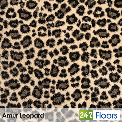 Amur leopard jag43 - amur,