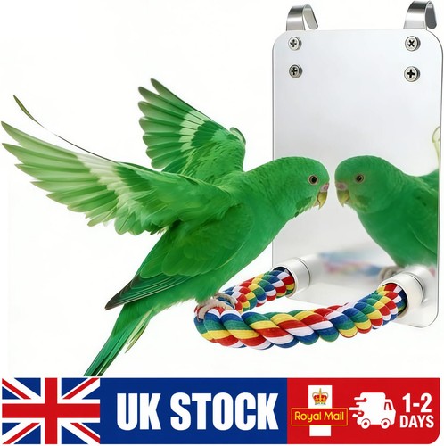Bird mirror with rope perch - mirror,